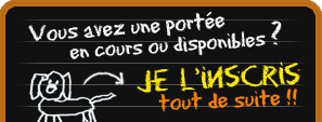 Annoncez vos portées sur Chiots-de-france.com Annoncez vos portées sur Chiots-de-france.com