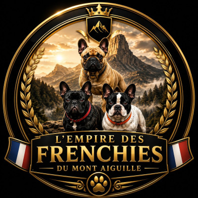Bouledogue français - Chiots Bouledogue Français LOF