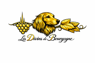 Teckel poil long - Chiots Teckels nains poils longs LOF - Des Divins de Bourgogne