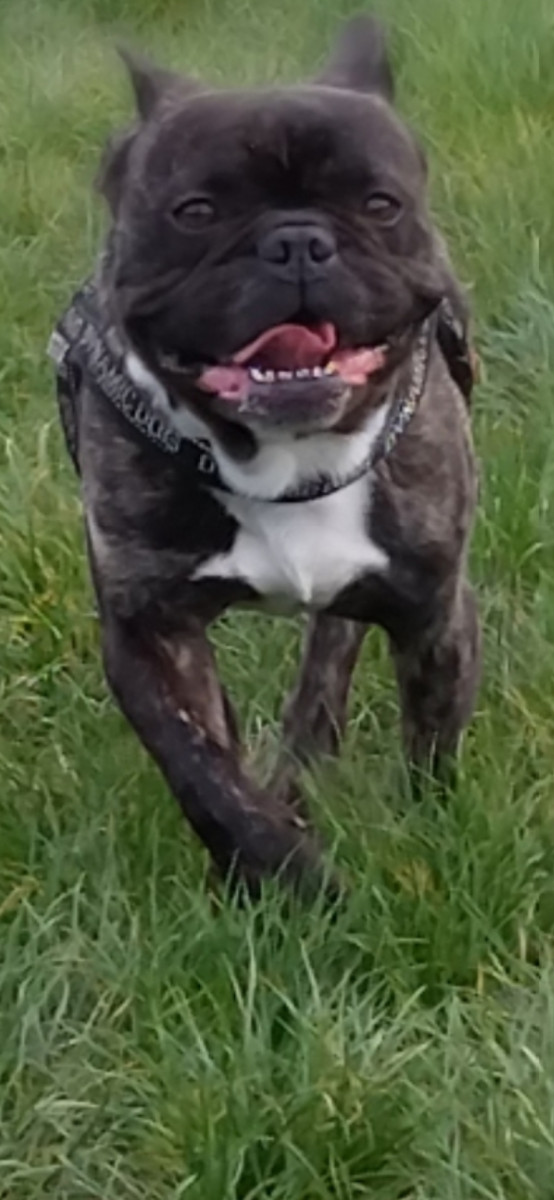 NOLAN