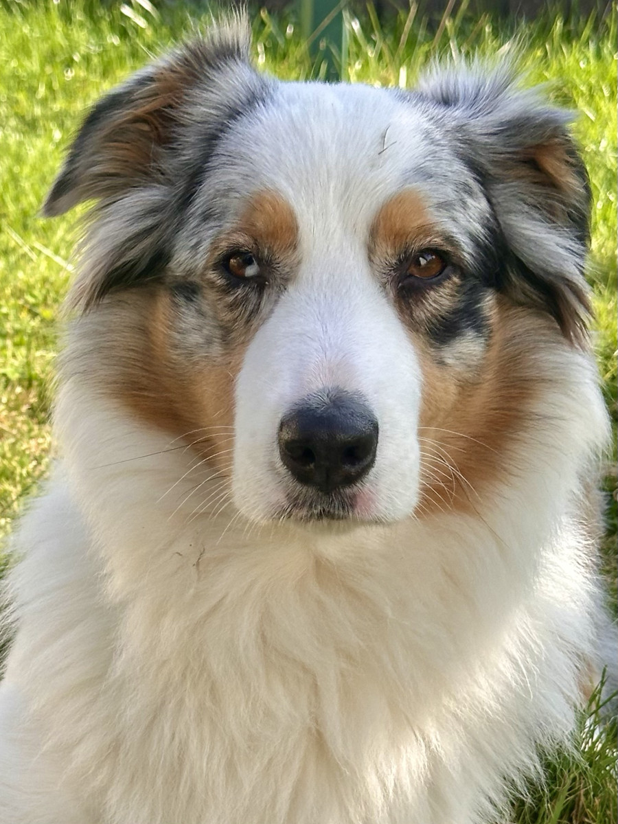 Freya