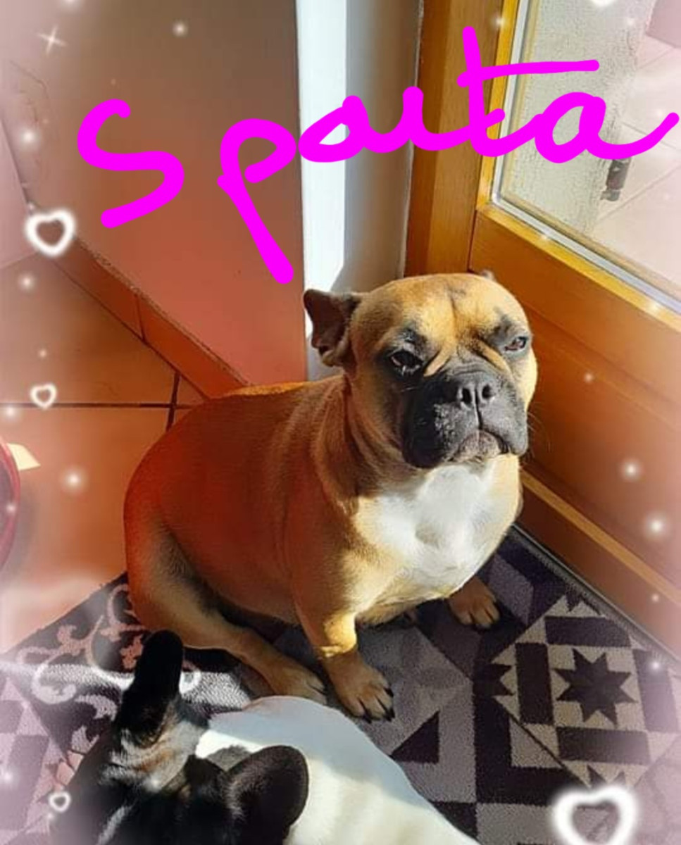 sparta